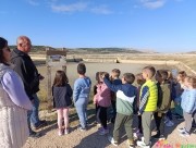 WhatsApp-Image-2025-11-10-at-113727