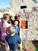 WhatsApp-Image-2025-11-13-at-094553